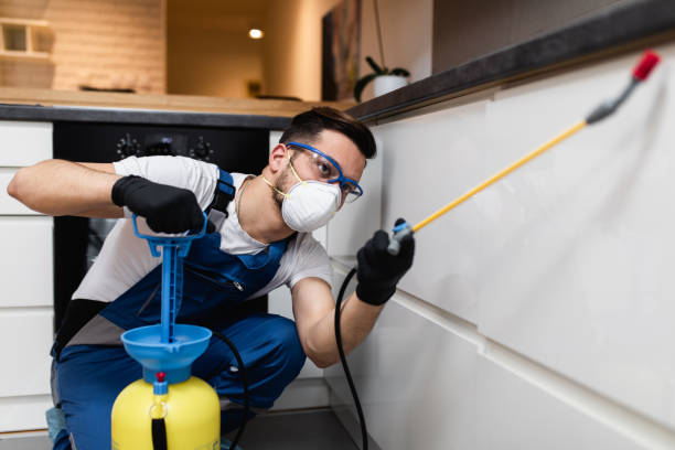 Best Residential Pest Control  in Foreman, AR