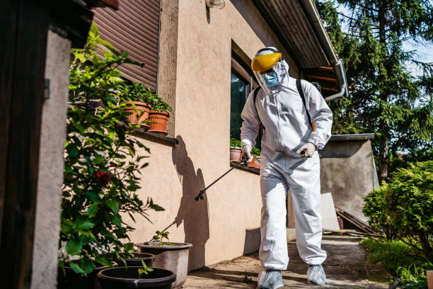 Professional Pest Control in Foreman, AR