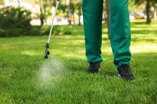 Best Affordable Pest Control Services  in Foreman, AR