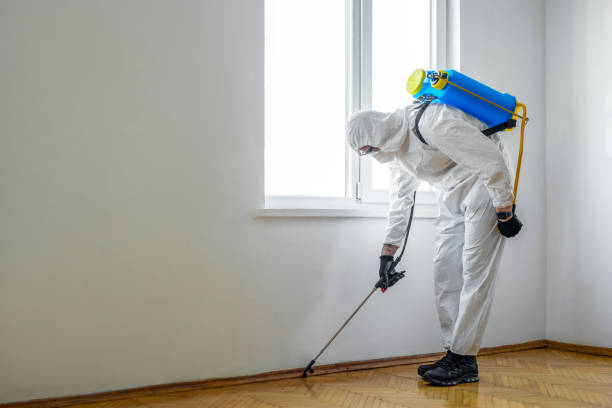 Best Best Pest Control Companies  in Foreman, AR